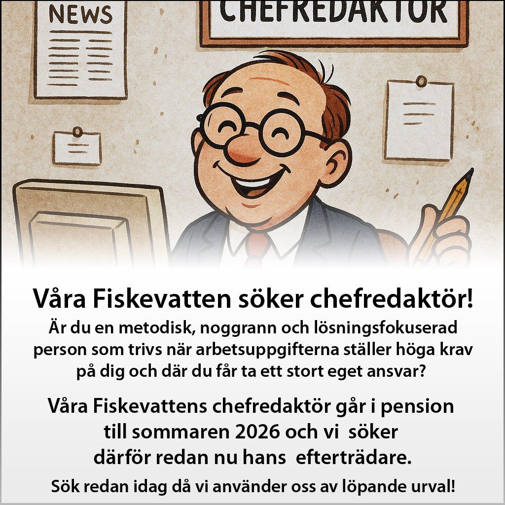 Chefsredaktör