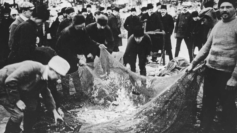 Sanningen bakom kraftigt minskat fiskbestånd