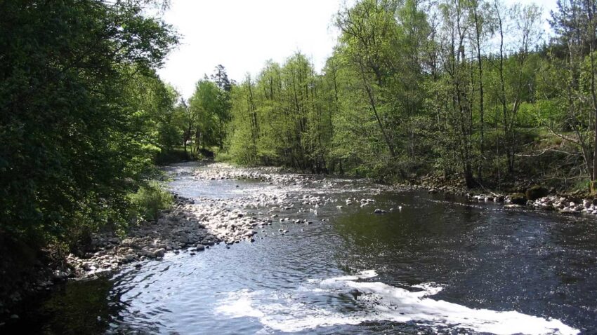 Tre vattenkraftverk ska omprövas i Mörrumsån. Foto: Sveaskog
