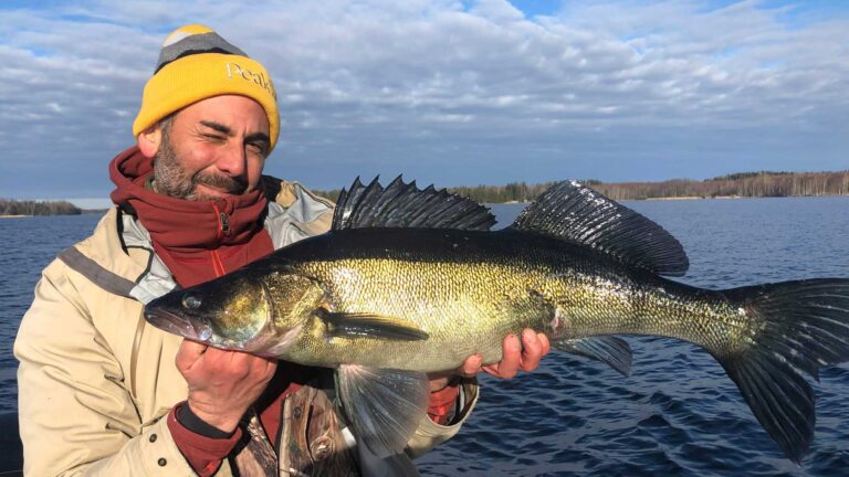 John Zafaradl: – ”Fiske med livegivare hot mot de viktigaste fiskarna”