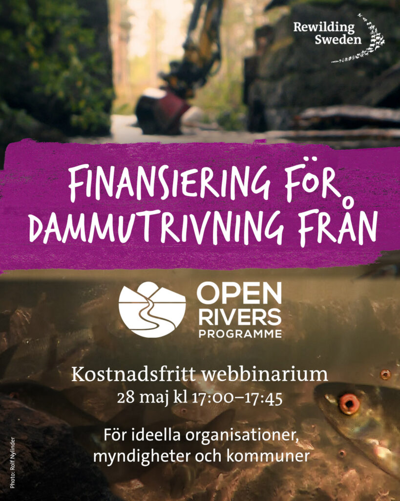 Open Rivers weebbinarium