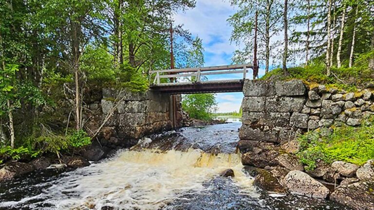 Åtta dammar rivs i Lycksabäcken – 2,3 mil fri vandringssträcka öppnas