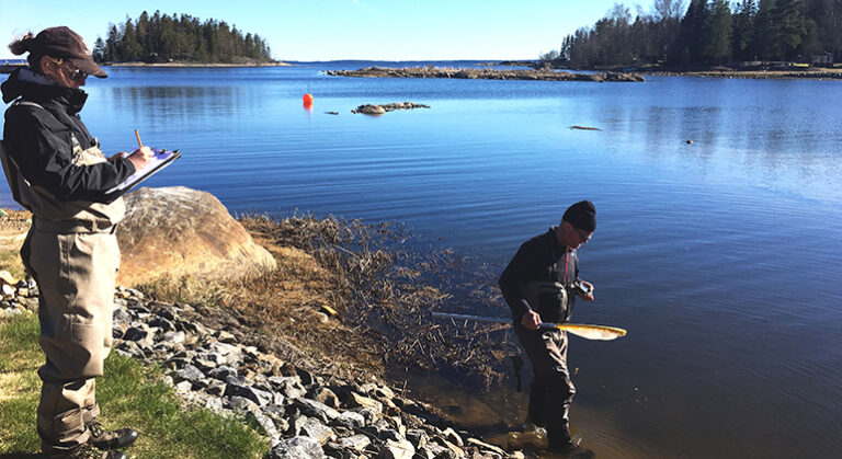 Älvmynningarnas naturvärden ska undersökas