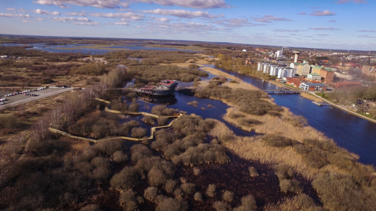 Ungdomar hjälper till förbättra för fisken