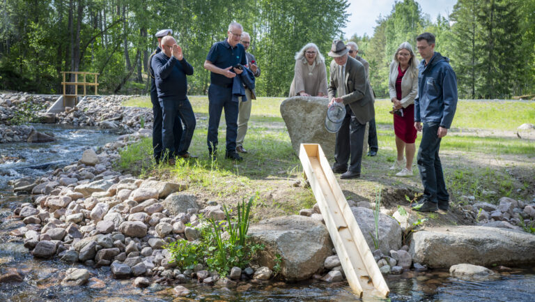 Kunglig glans över nya fiskvägen