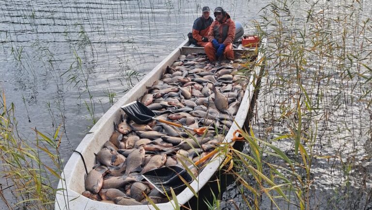 Mer än 10 ton har fiskats upp för miljön